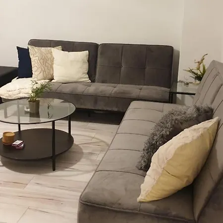 公寓 Schoene Geraeumige 3 In Heidelberg 莱门